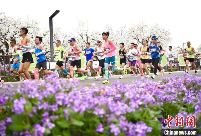 2025宿迁站京杭大运河马拉